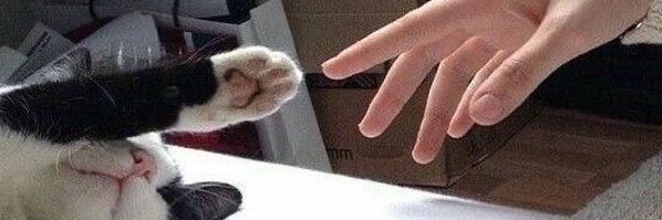 OceaneBeer's profile banner image