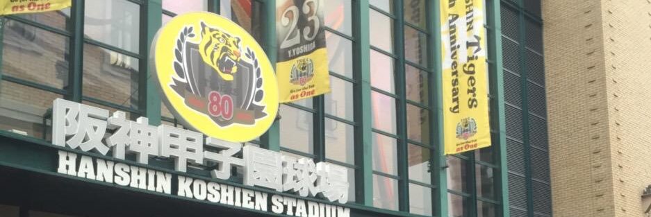 wingtigers's profile banner image