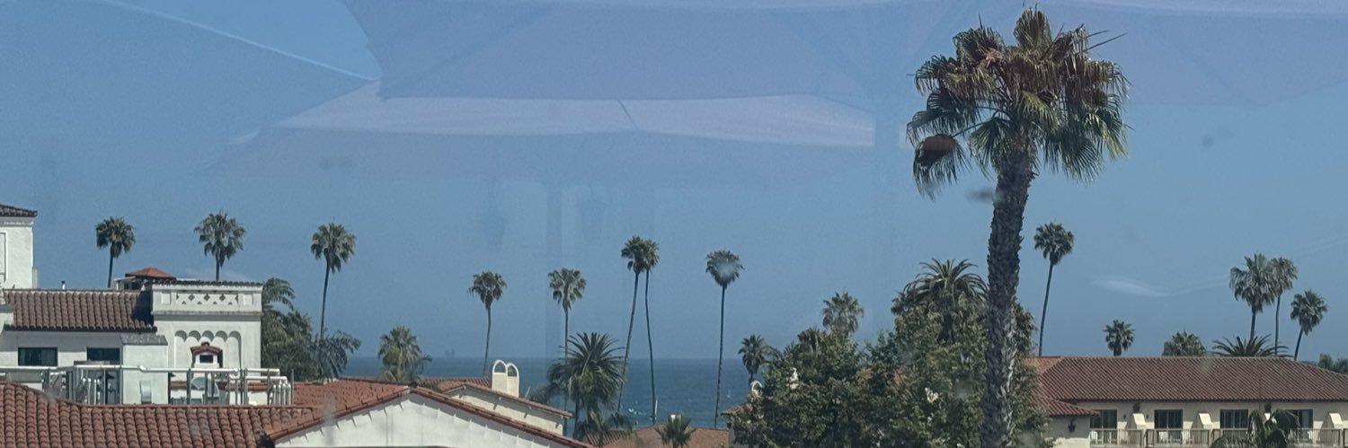 Toro-Neko🐾 banner