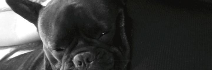 LulaEleicegui's profile banner image