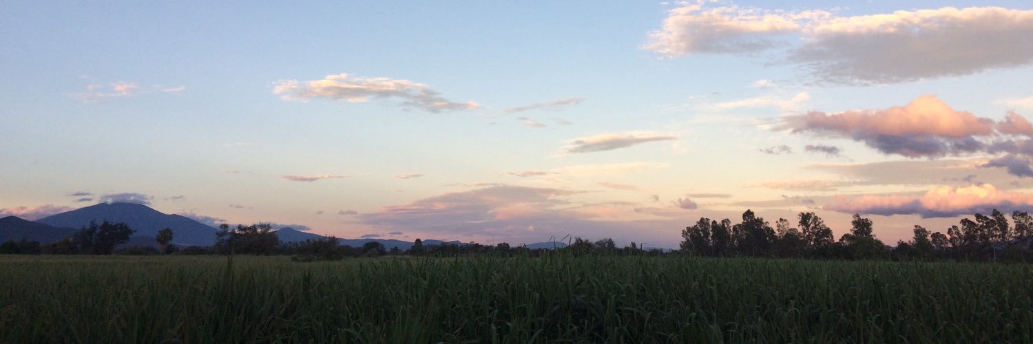 FunkyFernand's profile banner image
