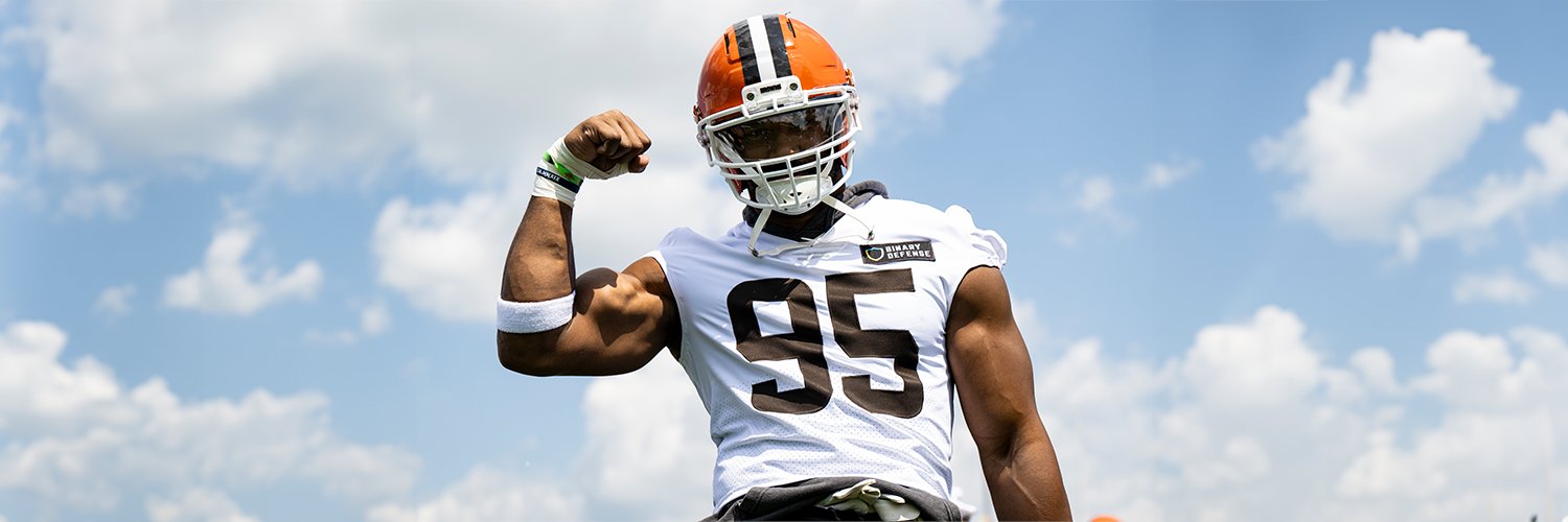 Cleveland Browns's banner