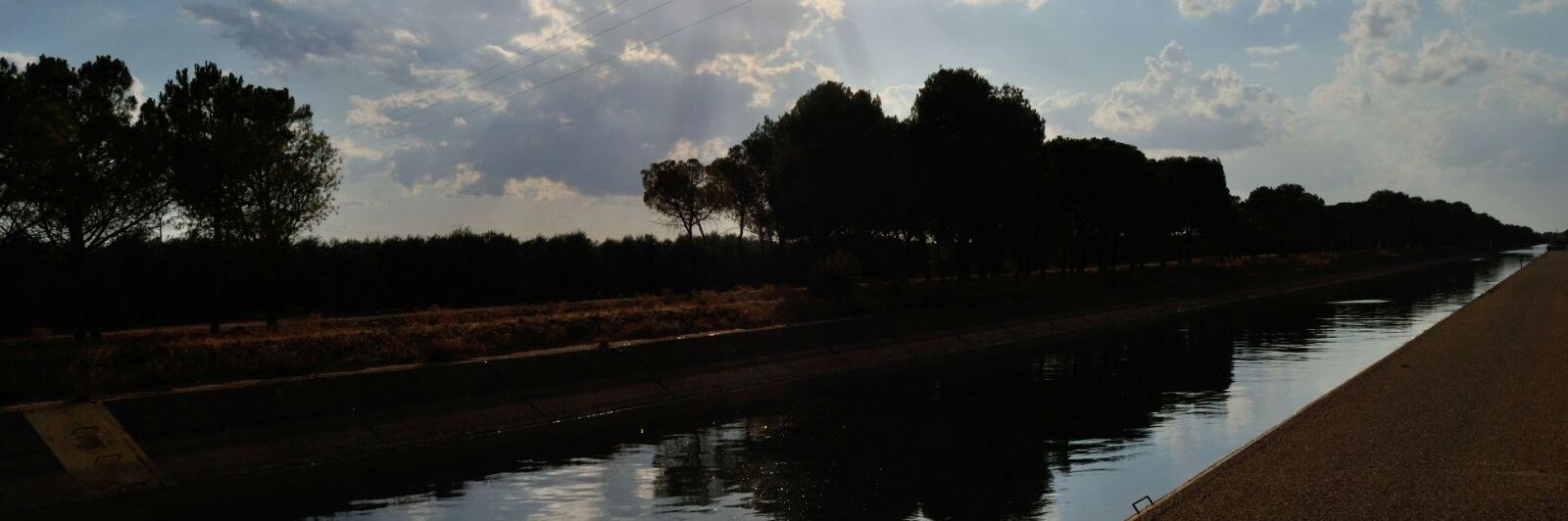 anapolo__'s profile banner image