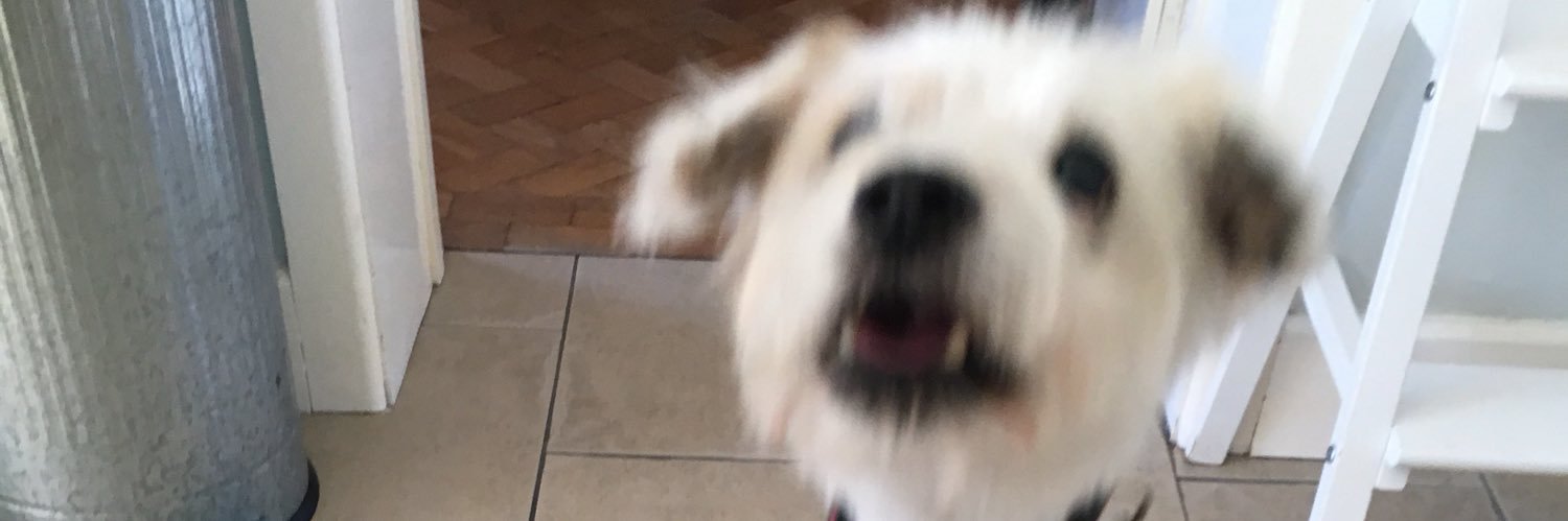 FfionEvans3's profile banner image