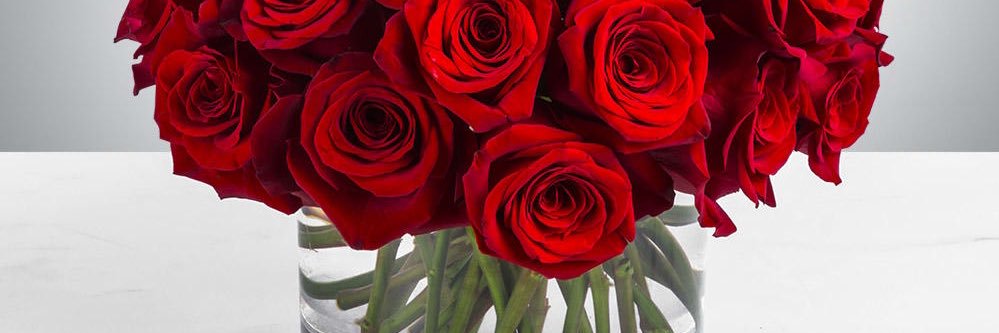 Freaky Bea 🦋💕 banner