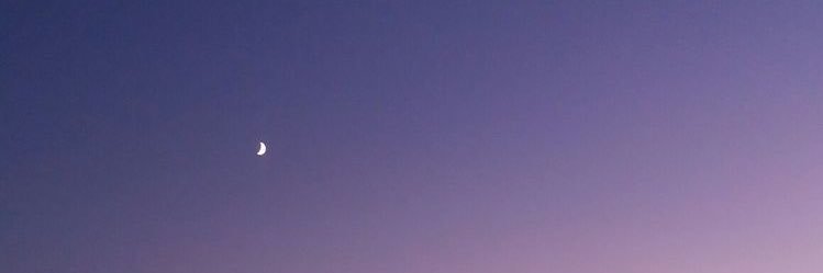 janiceayo's profile banner image