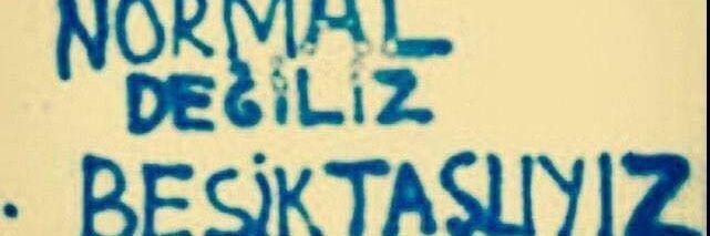 MelekDiler's profile banner image