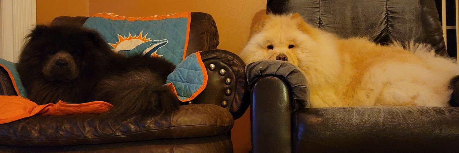 Shawn Douglas Houston banner