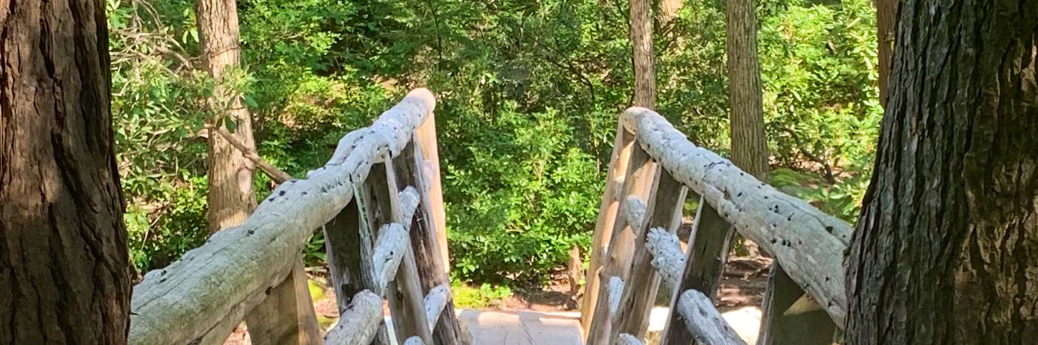 Arya Soman, MD (she/her) banner