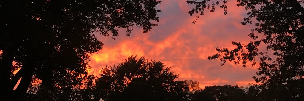 ashlynnnjq's profile banner image