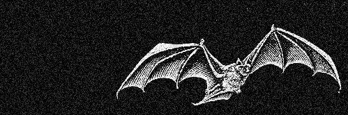 Lebrog's profile banner image
