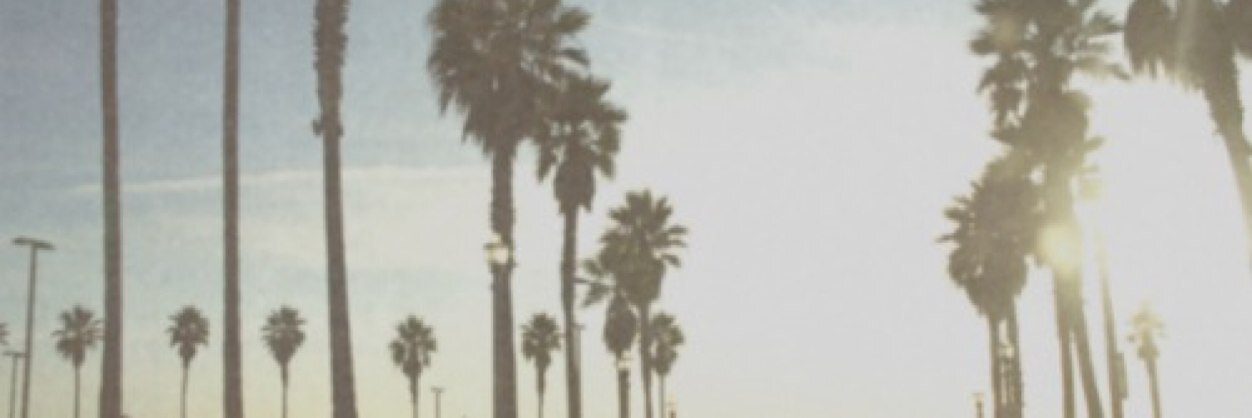daniquebolder's profile banner image
