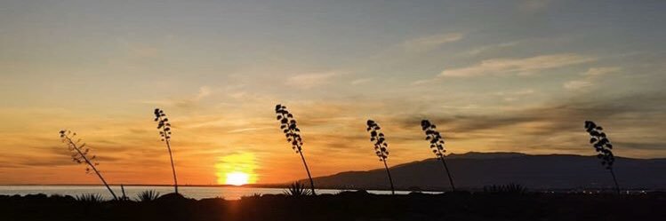 _MariaJpm_'s profile banner image