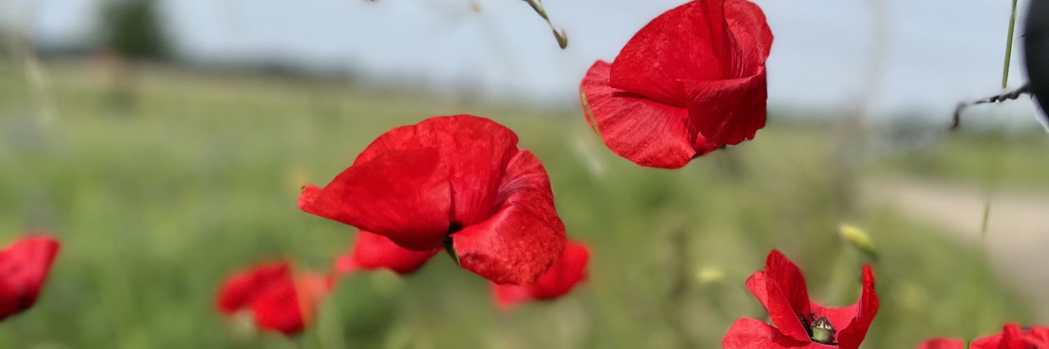 Esther Ruesen banner
