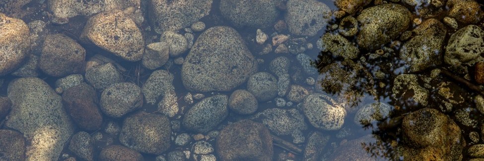 Fishing Republic banner