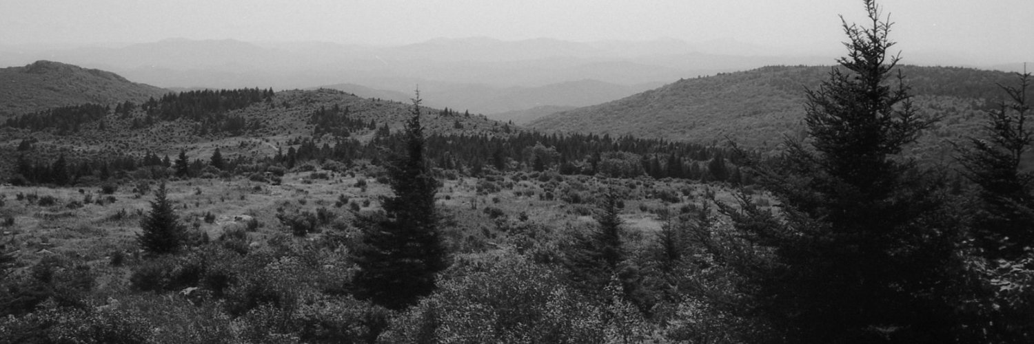 sad sappy sucker banner