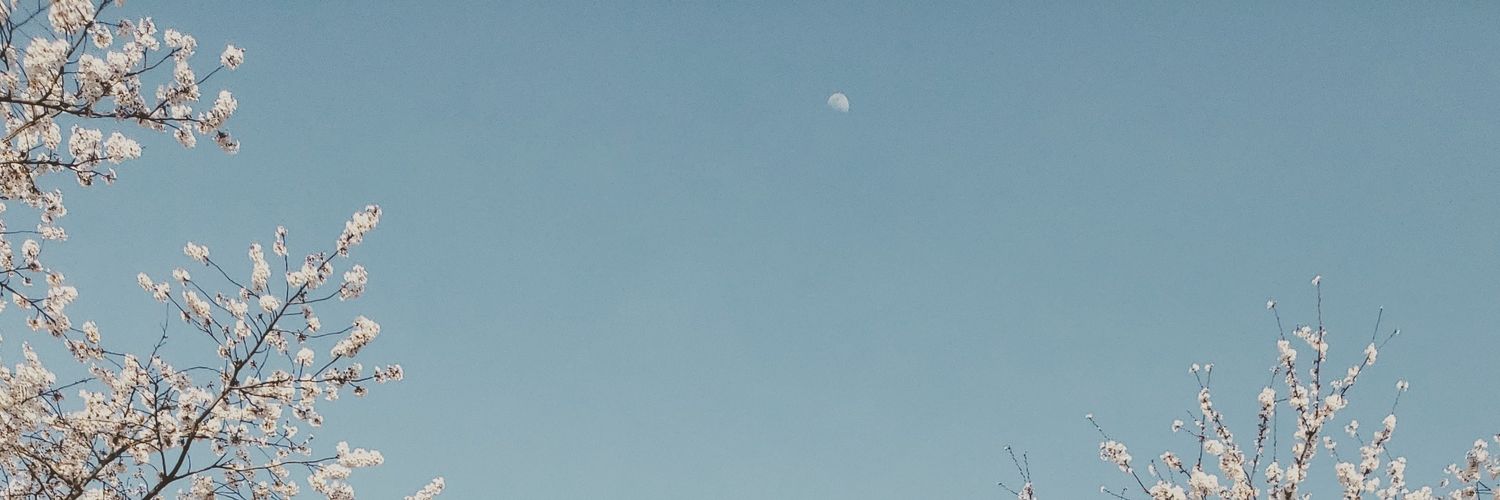 mi33511109's profile banner image
