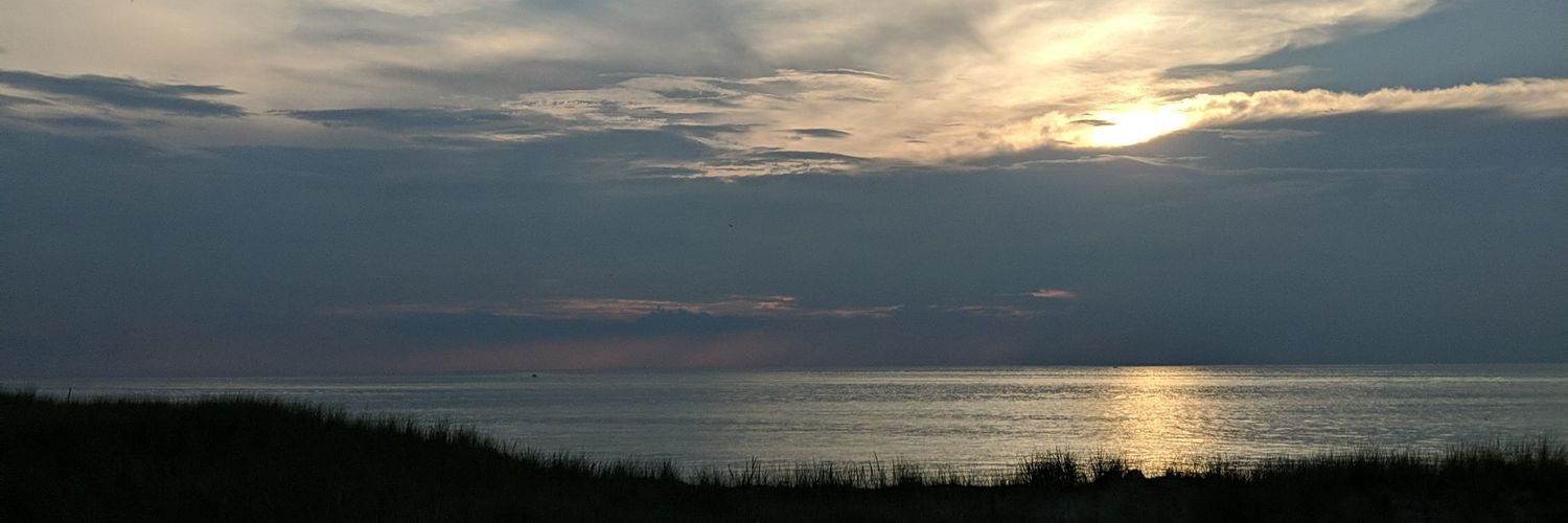 FR0IV's profile banner image