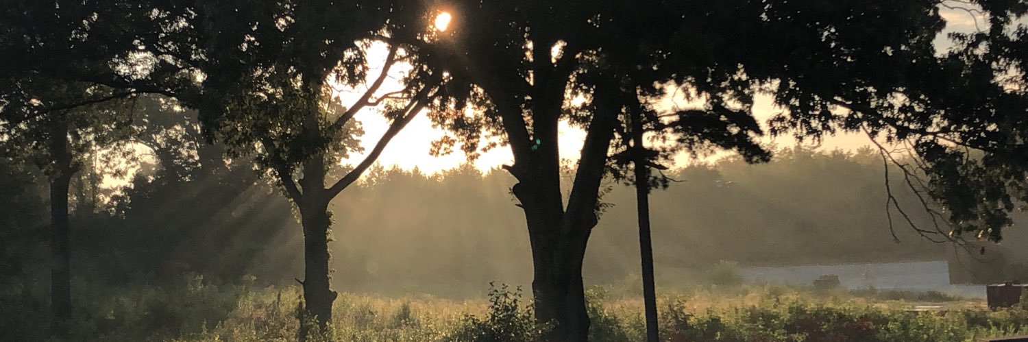 HBananabby1's profile banner image