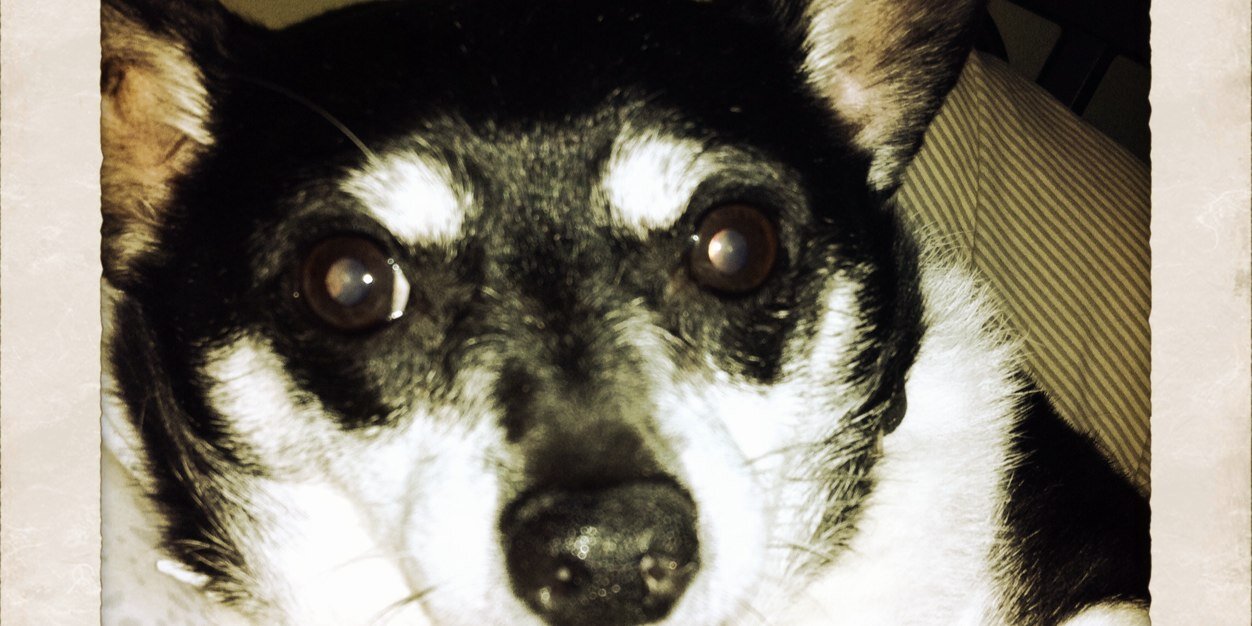 rileybeans's profile banner image
