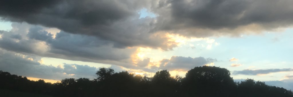 13Bert's profile banner image