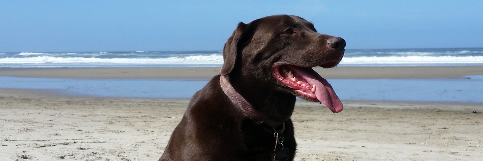 Magoo_09's profile banner image