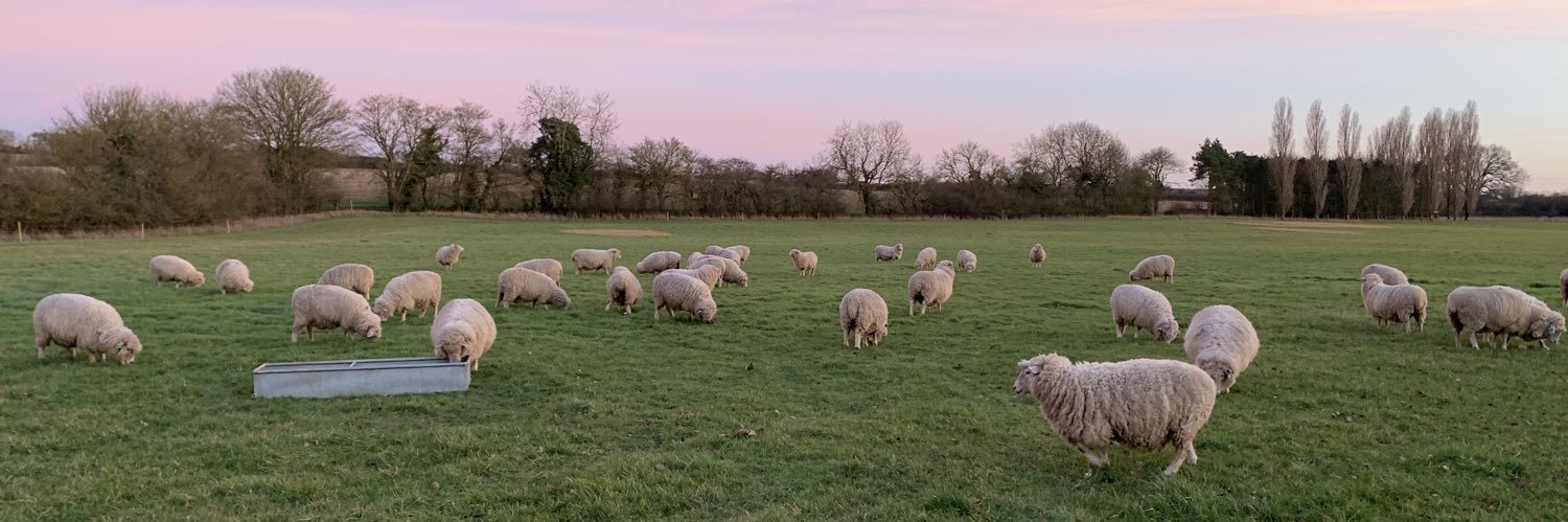 Dominic Drummond banner