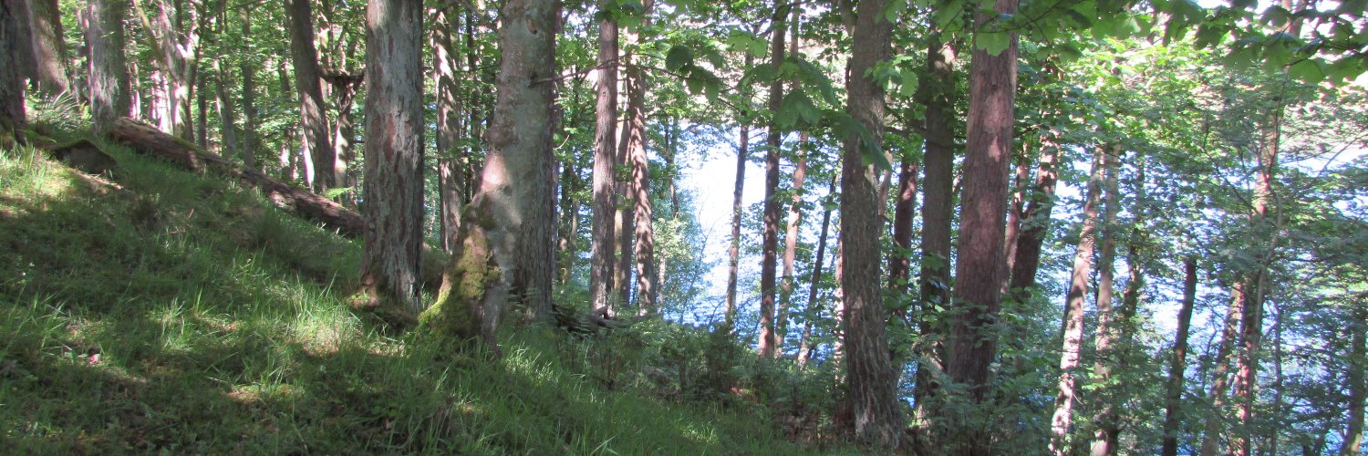 jo3784's profile banner image