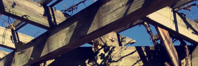 Haya هـــيــــا 🌐 banner