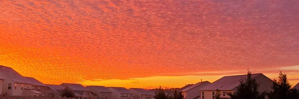 blury___face Profile Banner