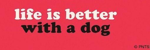 OMACTIVATE YOUR DAY's banner