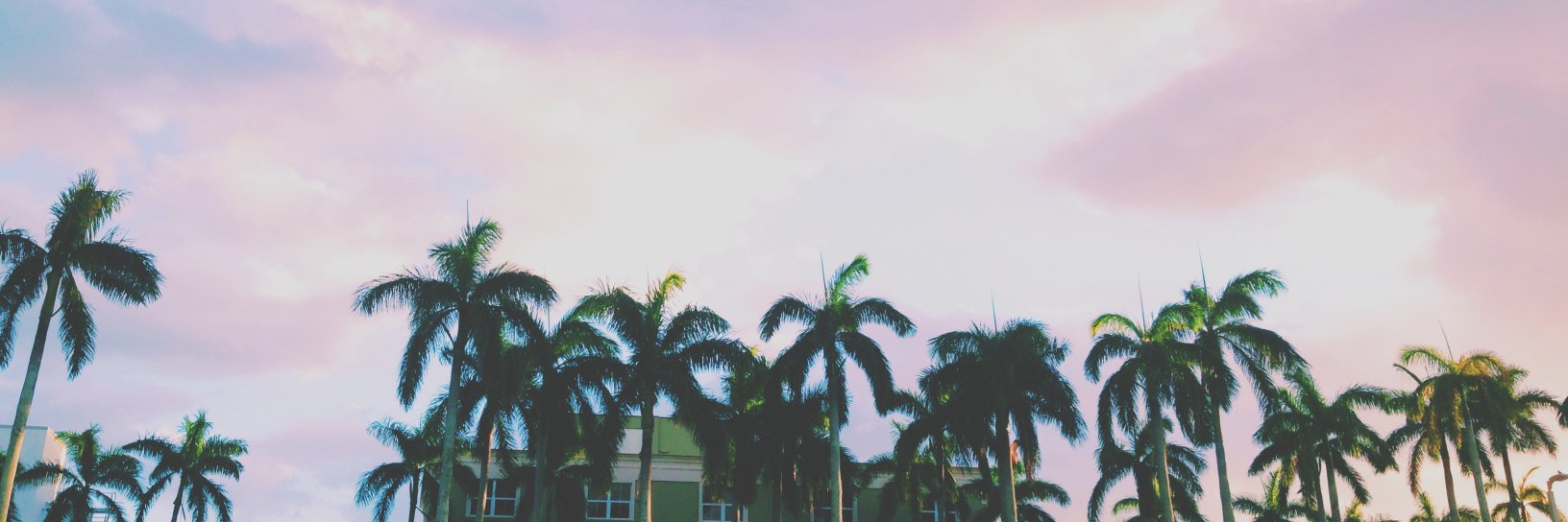 monikameskyte's profile banner image