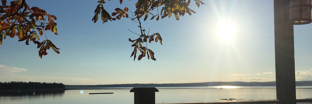 lydstewart2's profile banner image