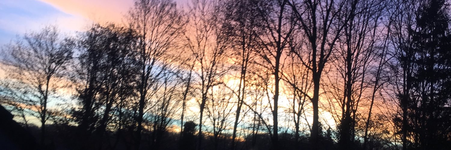 daniellinski's profile banner image