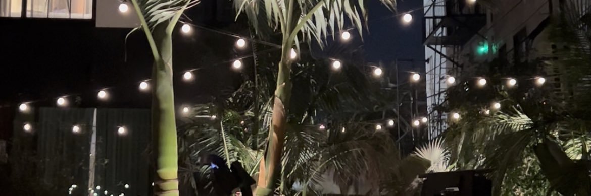 itseleniie's profile banner image
