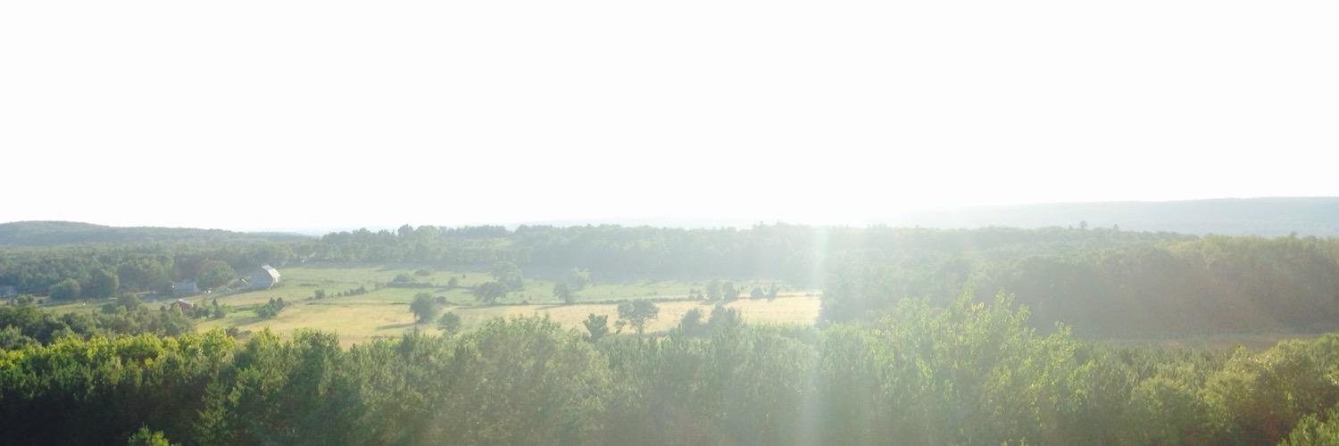 _sierrawilson's profile banner image