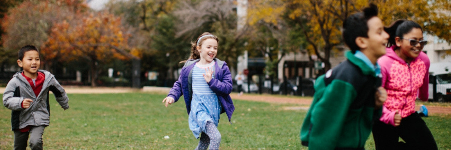 Strengthening Chicago's Youth (SCY) banner