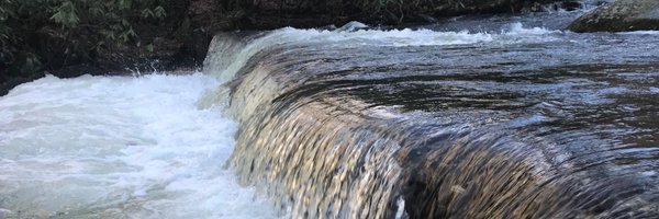 ELCDCSD Profile Banner