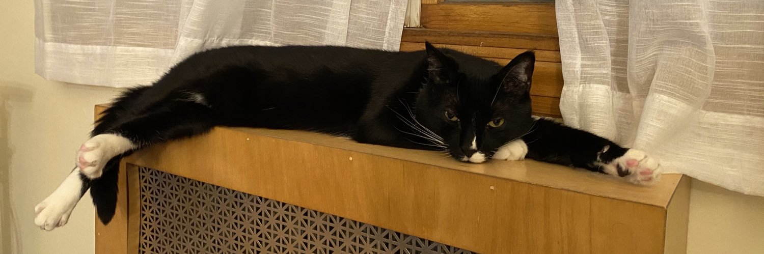 elena ilana alana alina elana banner