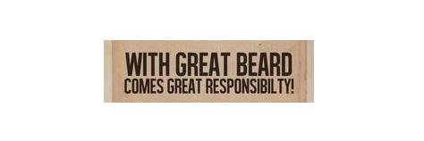 lattsbeard's profile banner image