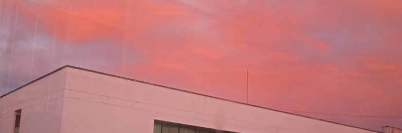 linamonroy_l's profile banner image