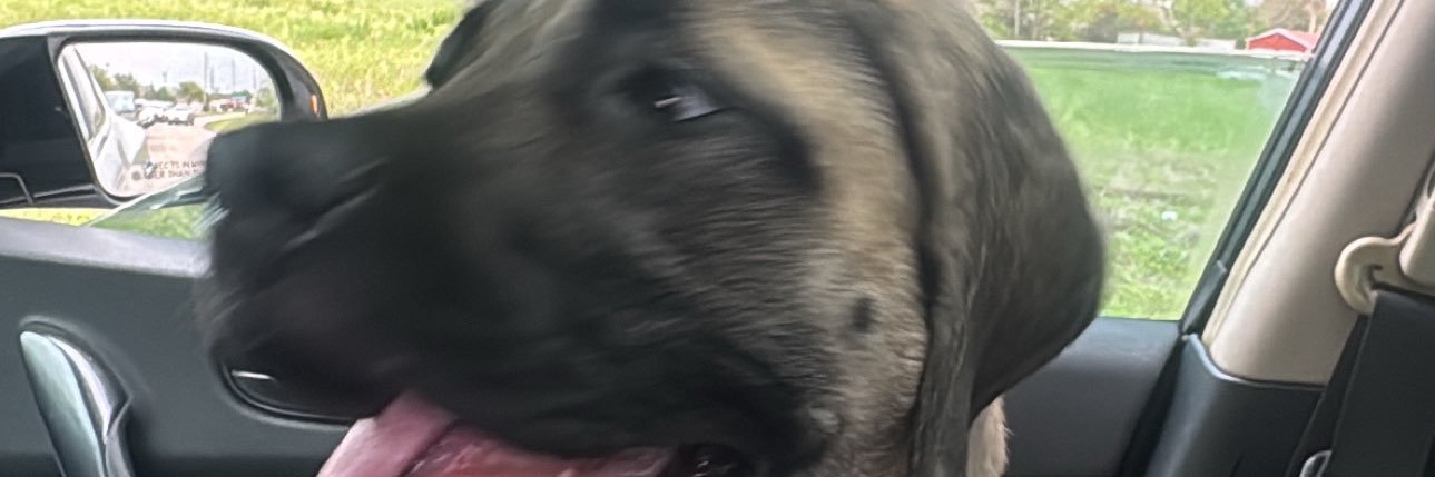 CedCassell's profile banner image