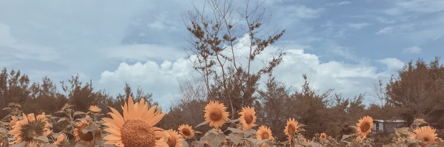 syipauls's profile banner image