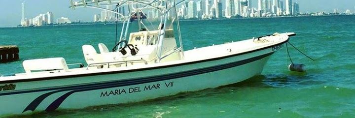 MariaOrejuela's profile banner image