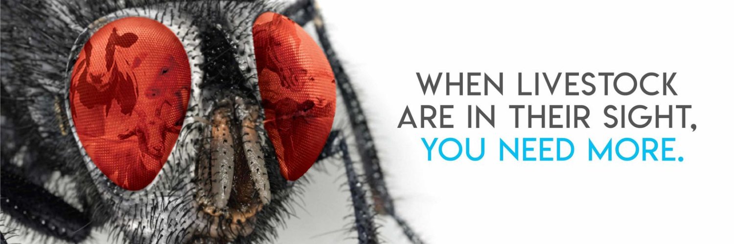 ClariFlyCentral's profile banner image