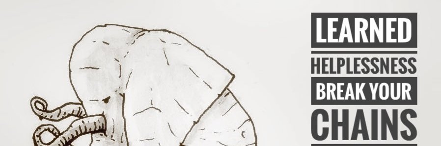 michelebagozzi's profile banner image