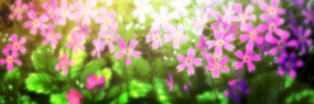 Pervene's profile banner image