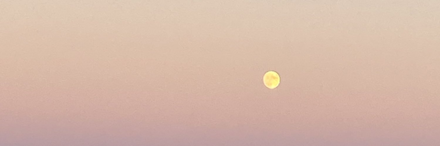 baaileyclark's profile banner image