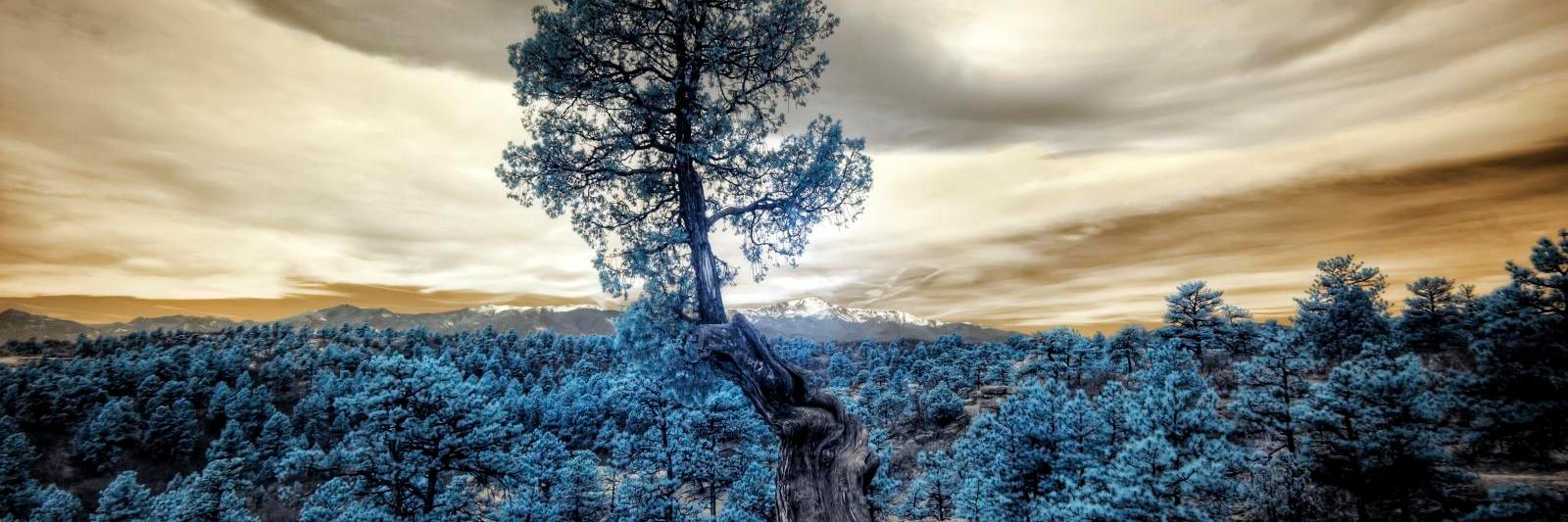 SolomonStone10's profile banner image