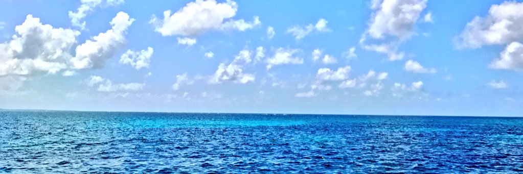 EricaArguin's profile banner image